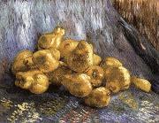 Vincent Van Gogh Still Life with Quinces oil painting